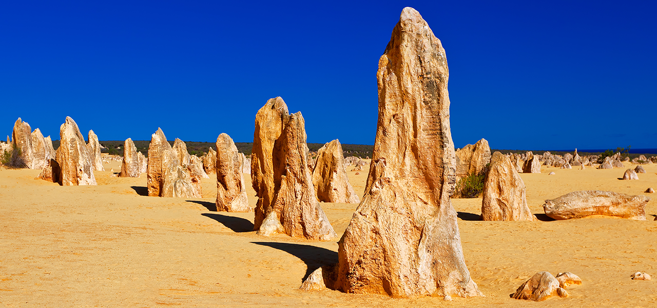 The WA pinnacles on desert sand with blue sky